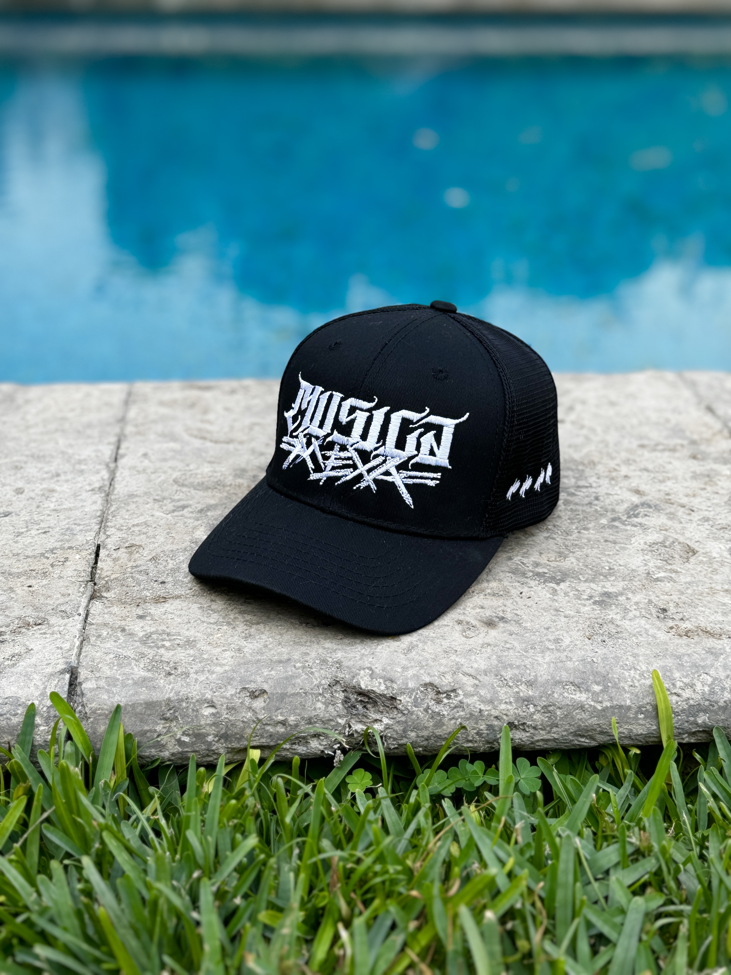 Gorra MUSICA MEXA curva